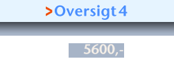 >Oversigt4